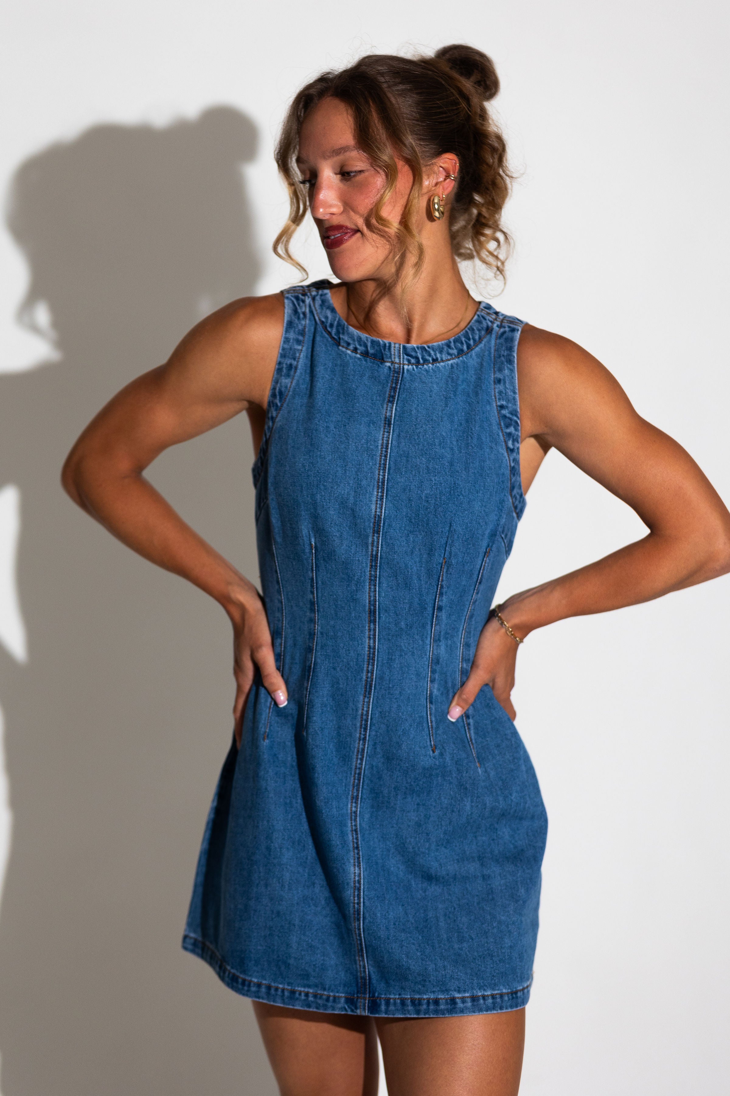 Damson Denim Dress