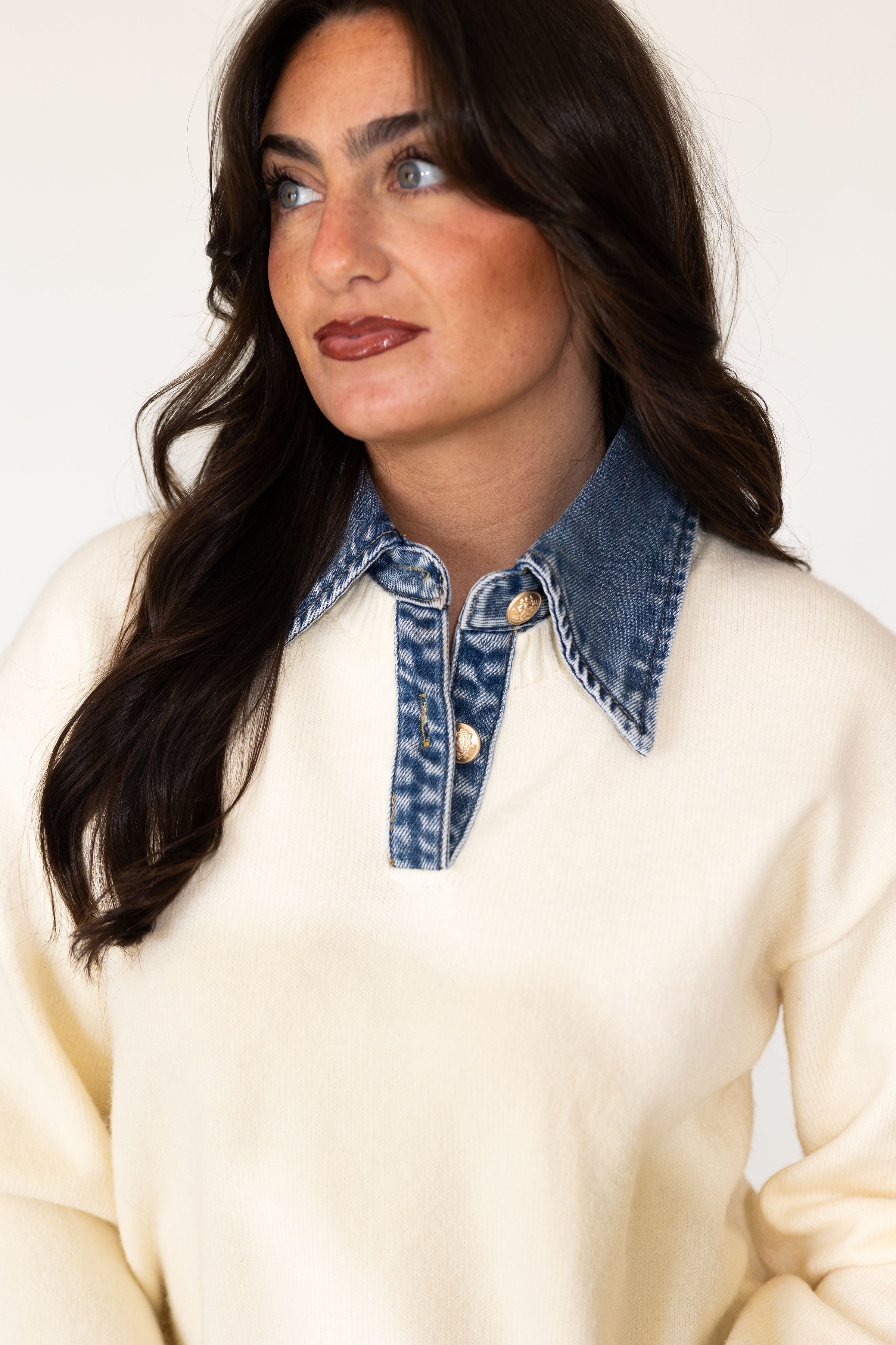 Tavi Denim Collared Sweater